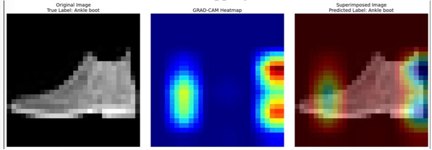 Grad-CAM Visualization